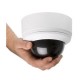 Spectra® Mini IP Network Dome System